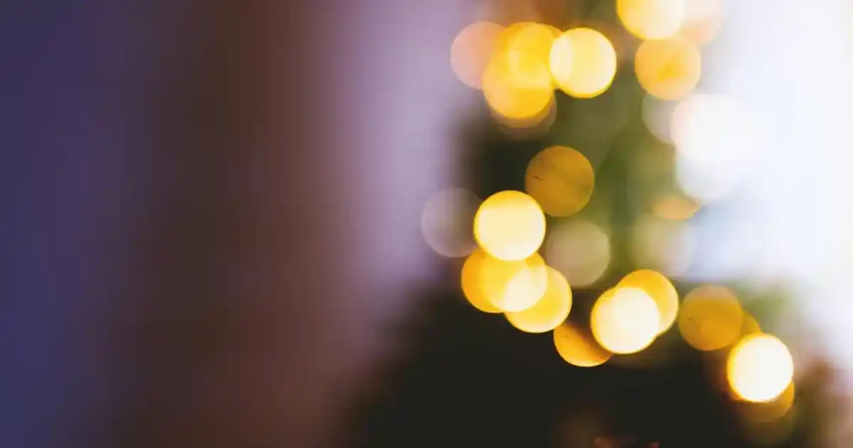 Kapaklı Bambu Sepetleri ile Doğal ve Şık Dekorasyon Çözümleri