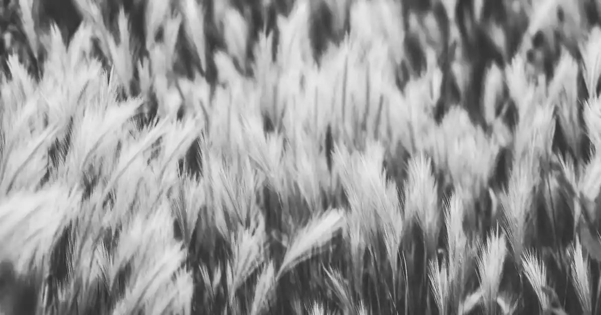 Kapı Yanı Anahtarlıklarla Dekorasyonda Şıklık ve İşlevsellik Bir Arada