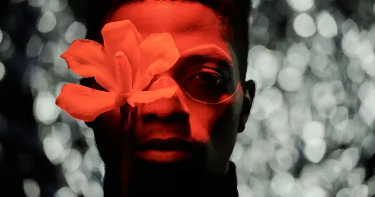 Karaca 6 Kişilik Yemek Takımı Modelleri ve Dekorasyon İpuçları