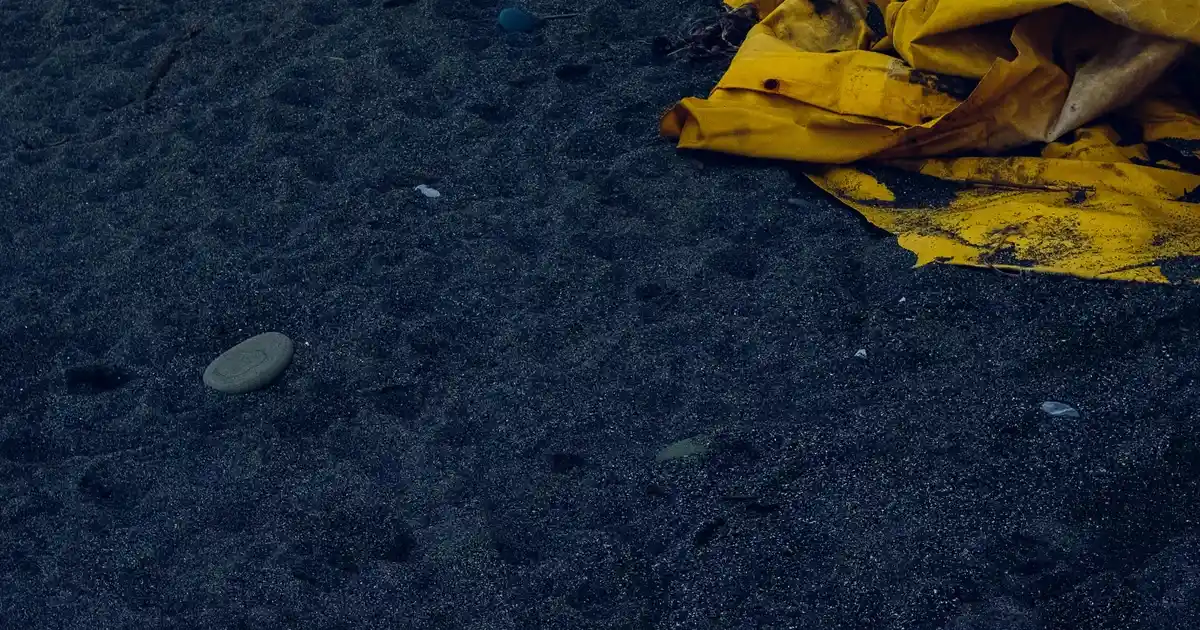 Karaca Fancy Cat 2 Kişilik Kahve Fincanı Takımı 80 ml Şık ve Fonksiyonel Tasarım