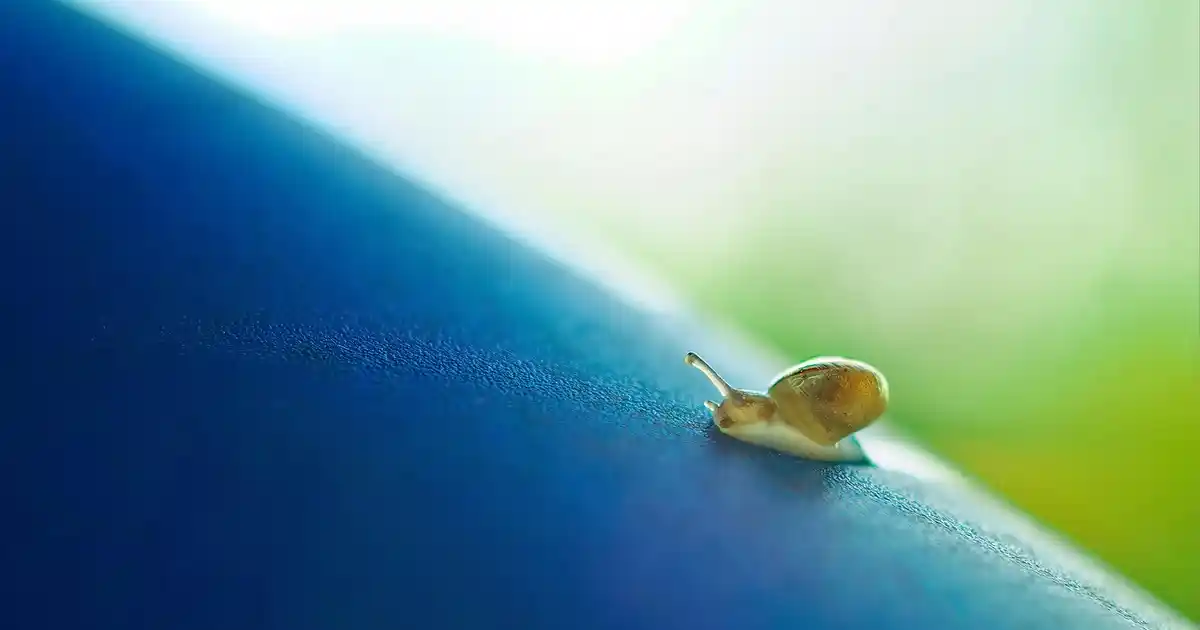 Karaca French Press ile Modern Dekorasyon ve Fonksiyonelliği Bir Arada Yakala