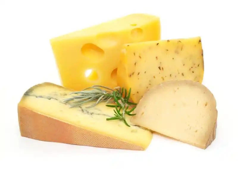 Kase Kullanımının Dekorasyondaki Rolü ve Farklı Tarzlardaki Uygulamaları