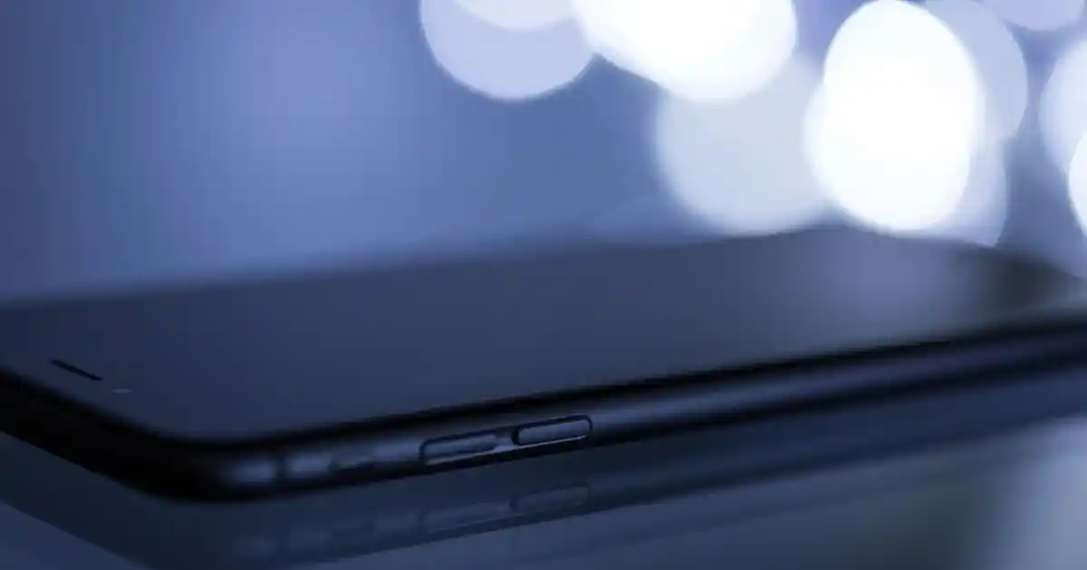 Kedi Evi Dekorasyonunda Şıklık ve Fonksiyonellik Bir Arada Yaratıcı ve Estetik Çözümler