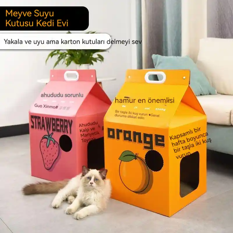 Kedi Kutusu Dekorasyonunda Şıklık ve Fonksiyonellik İçin Modern ve Pratik Çözümler