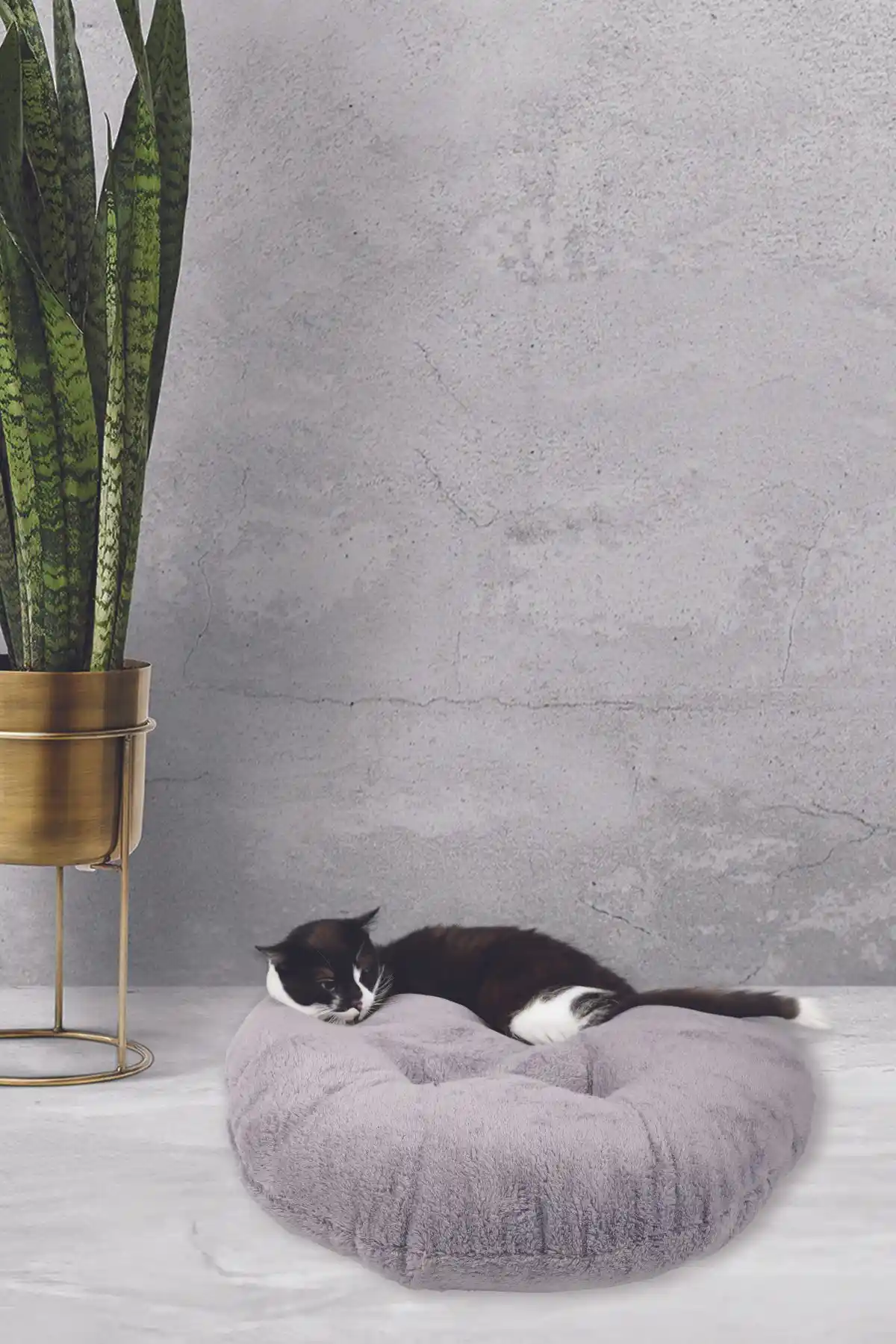 Kedi Minderleri ile Dekorasyonunuzu Yenileyin: Şık ve Konforlu Mekanlar Yaratın