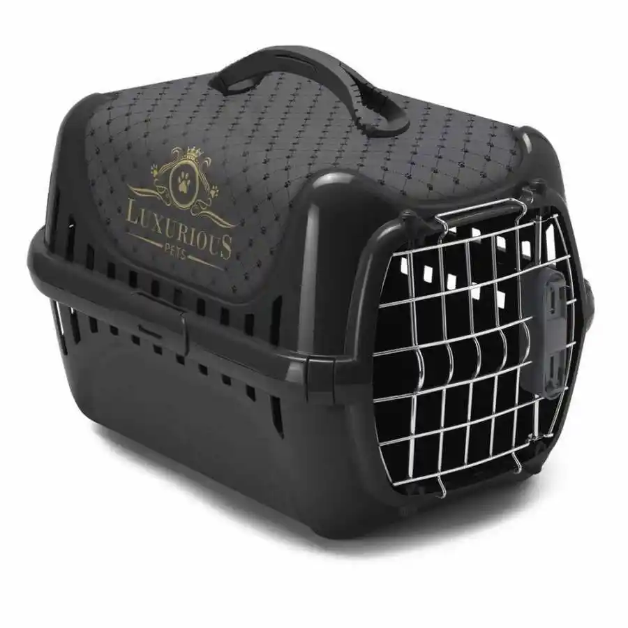 Kedi Taşıma ve Dekorasyonda Yaratıcı Çözümler: Güvenli ve Şık Ev Düzenleri