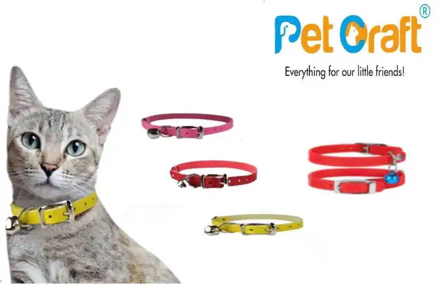 Kedi Tasma Modelleri ve Dekorasyonla Uyum Sağlayan Şık Aksesuarlar