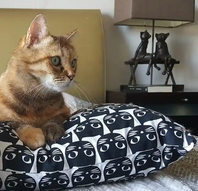 Kedili Abajur ile Dekorasyonda Şıklık ve Fonksiyonellik Bir Arada