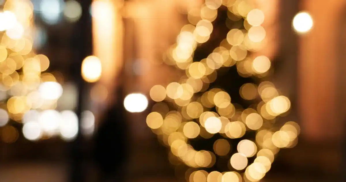 Kedili Cam Bardaklar ile Dekorasyonunuza Şıklık ve Fonksiyonellik Katın