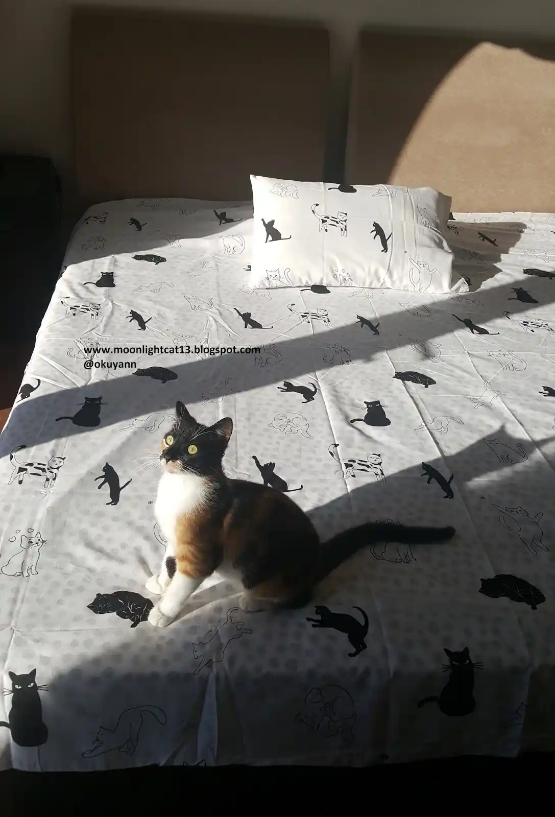 Kedili Nevresimler ile Yatak Odasında Şıklık ve Konforun Buluşması