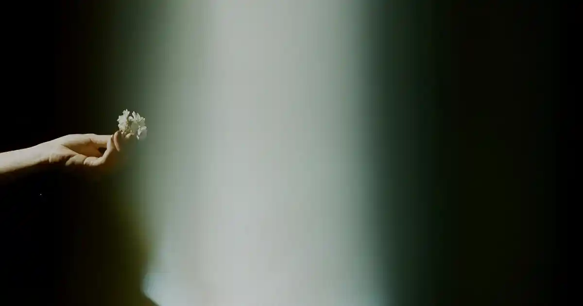 Kilim Berjerler ile Evinize Şıklık ve Konfor Katmanın En Güzel Yolu