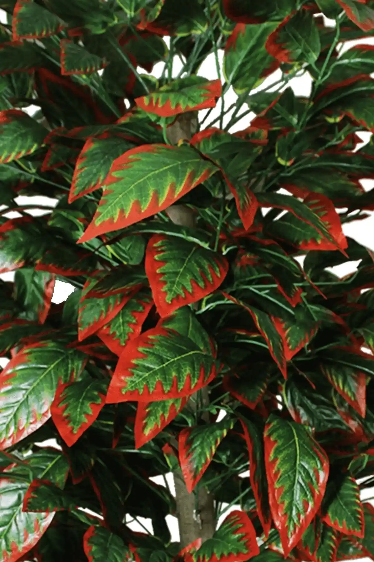 Kırmızı Ceviz Ağacıyla Dekorasyon: Doğal ve Şık Mekan Tasarımları