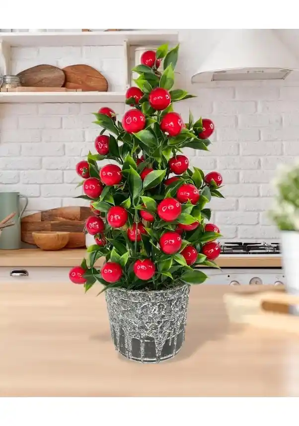 Kırmızı Top Çiçek ile Dekorasyonda Canlılık ve Şıklık Sağlayan Rehber