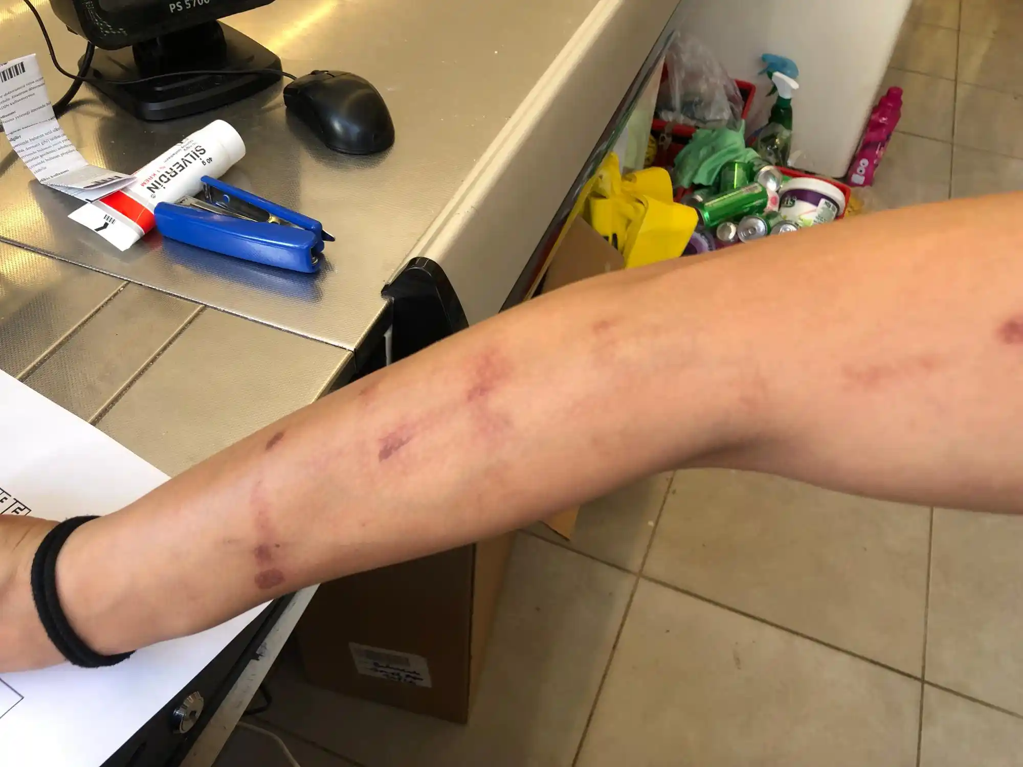 Kolay ve Şık Ev Dekorasyonu İpuçlarıyla Hayallerinizdeki Mekânı Yaratın