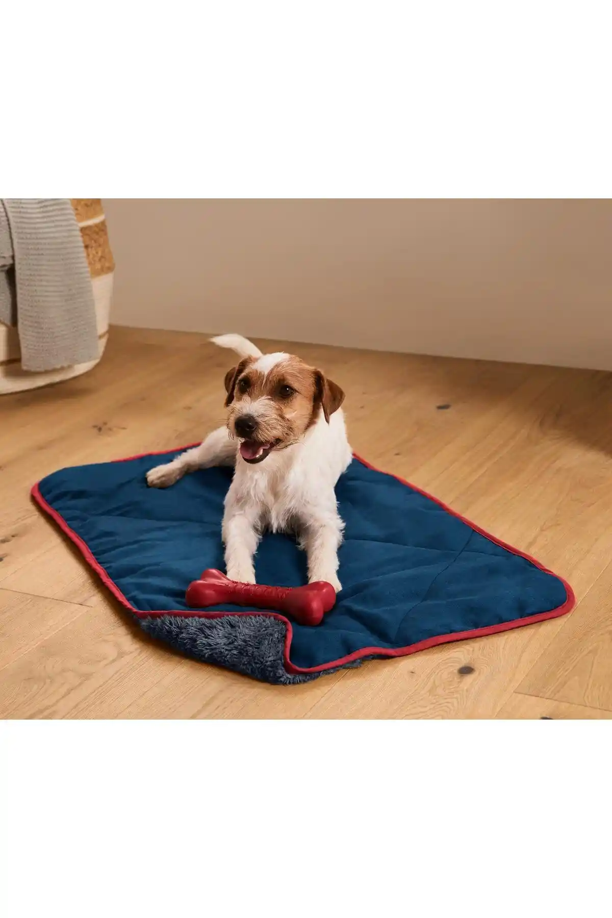 Köpek Battaniyesi ile Ev Dekorasyonunda Şıklık ve Konforu Bir Arada Yaratın