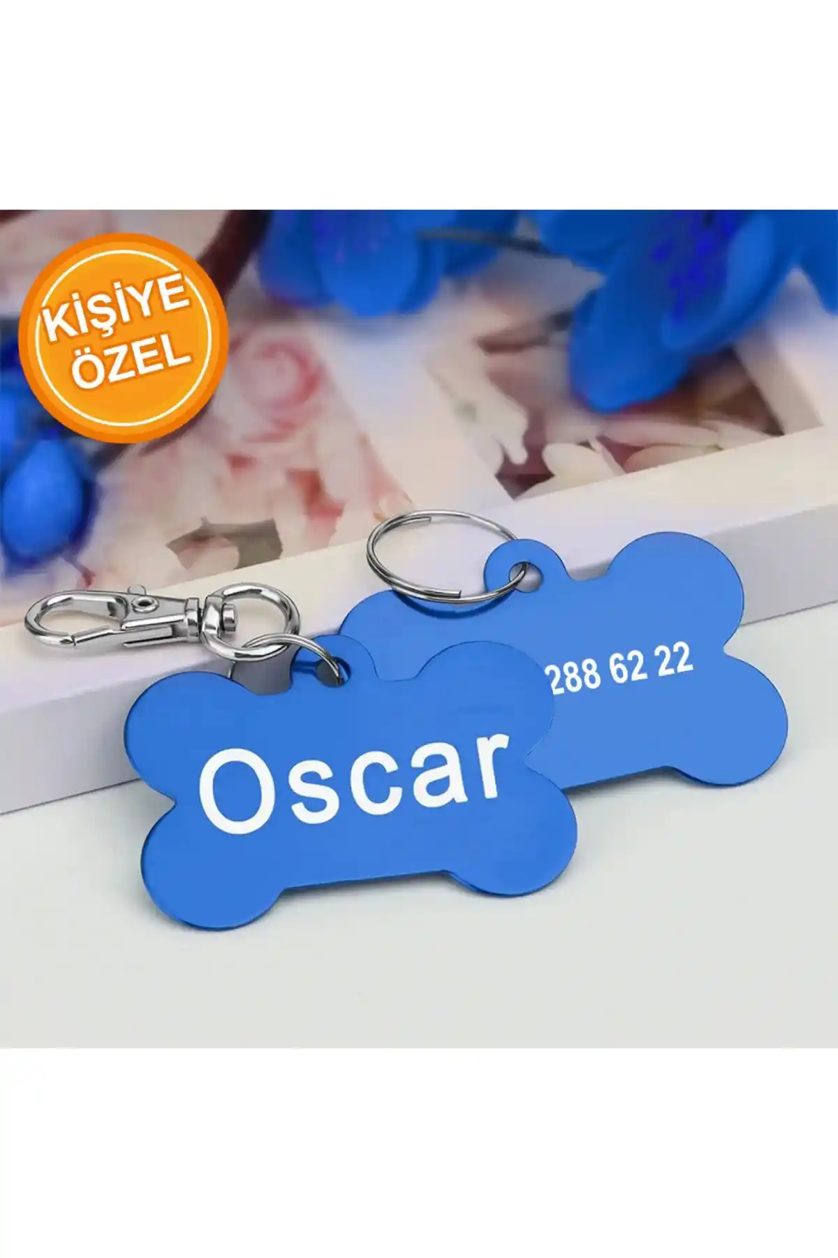 Köpek İsimliği: Güvenlik ve Dekorasyonun Modern Birleşimi