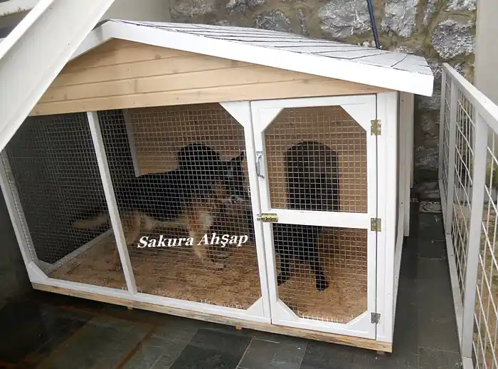 Köpek Kulübesi Seçenekleri ve Dekorasyon İpuçlarıyla Şık ve Fonksiyonel Alanlar