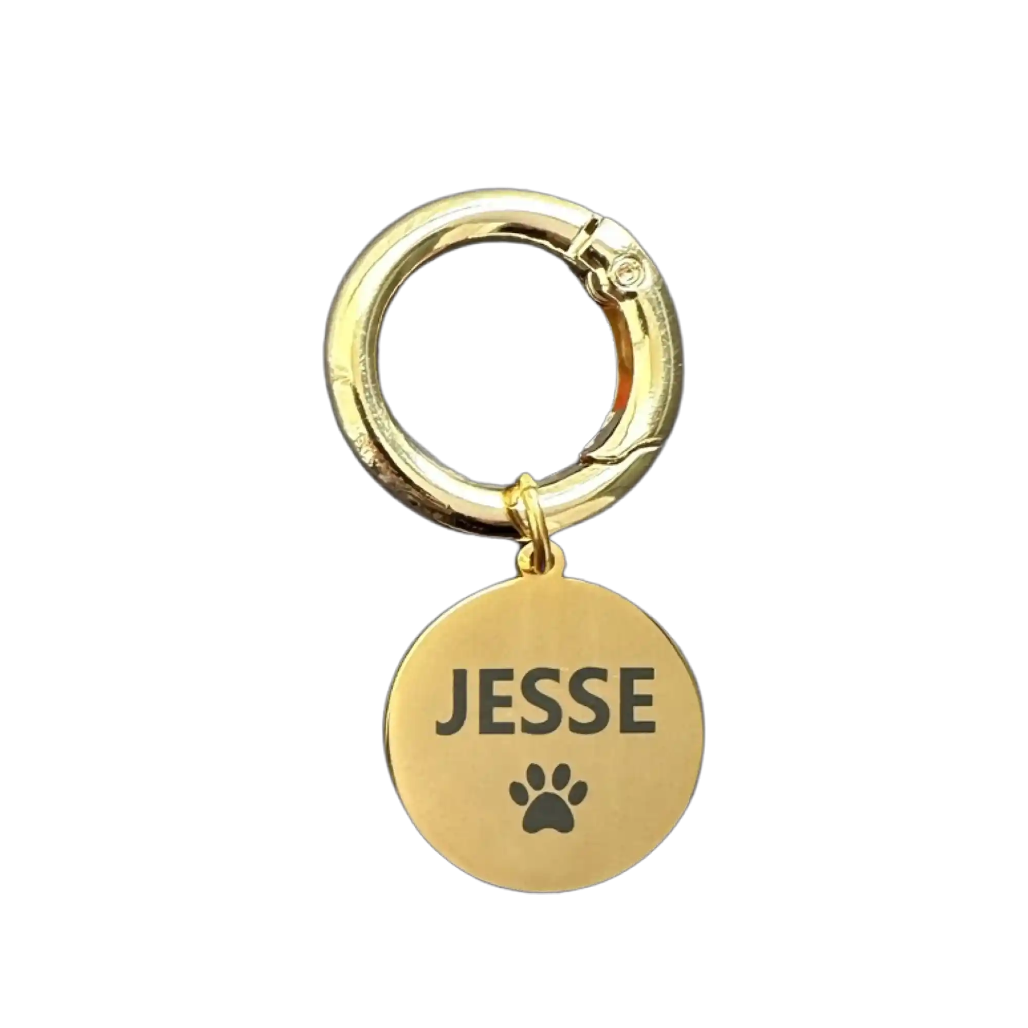 Köpek Künyeleri ve Dekorasyonun Şık Uyumunu Sağlayan Trendler ve Modeller