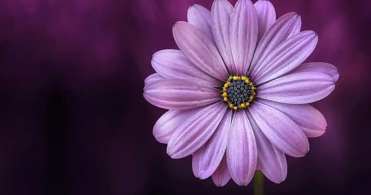 Krom Ayaklı Lambaderlerle Modern ve Şık Dekorasyon Çözümleri