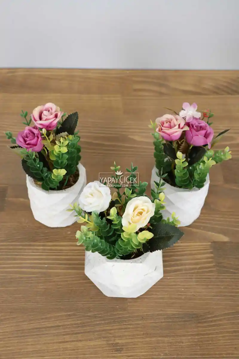 Küçük Saksı Çiçekleriyle Dekorasyonun İncelikleri ve Bakım İpuçları