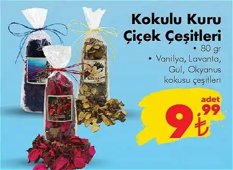 Kuru Çiçek Çeşitleri ve Dekorasyonda Kullanım Alanları Analizi