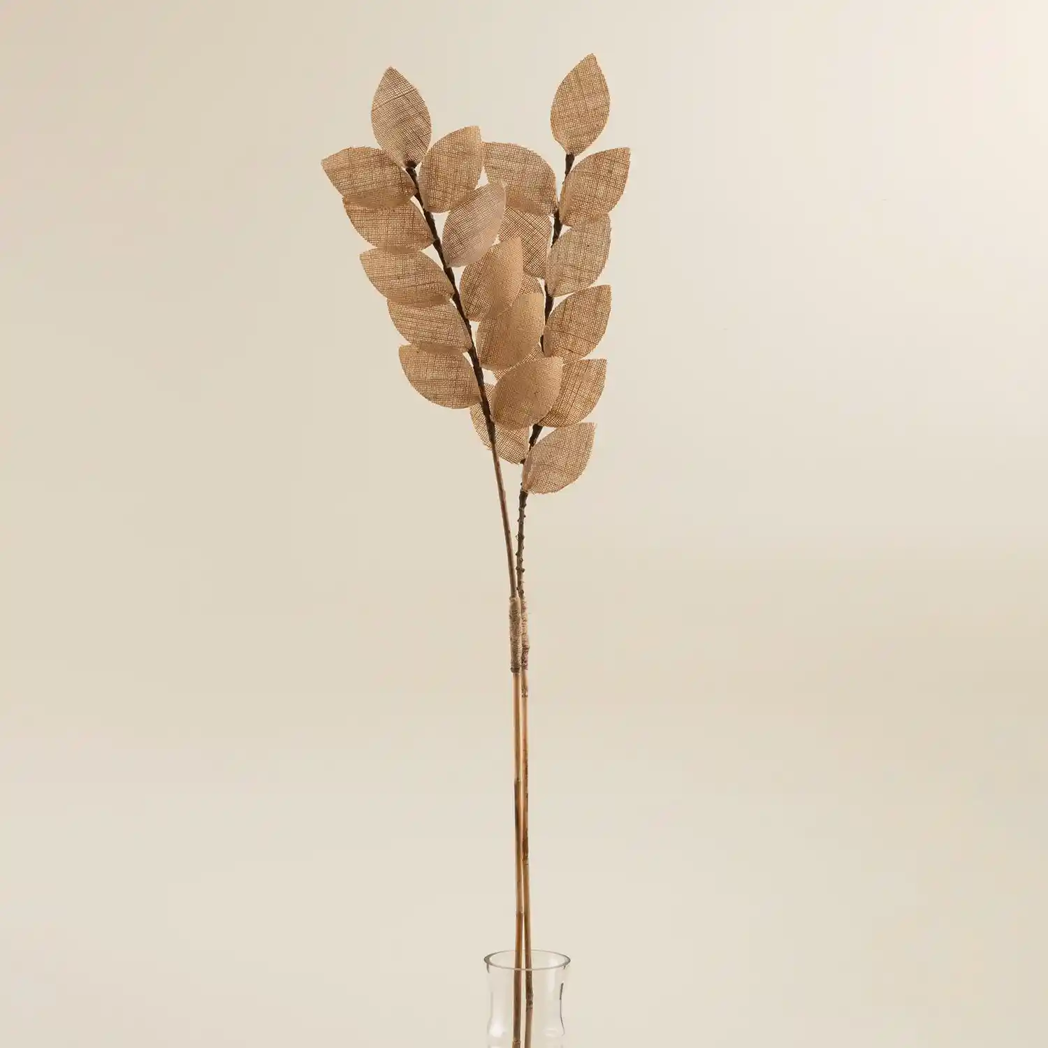 Kuru Dal Çiçekler ile Doğal ve Uzun Ömürlü İç Mekan Dekorasyonu Rehberi