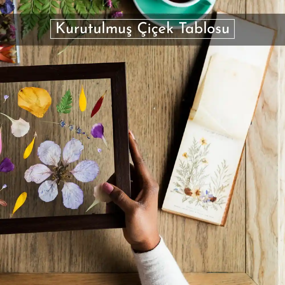 Kurutulmuş Çiçek Tabloları ile Evinize Doğal ve Sanatsal Dekoratif Dokunuşlar