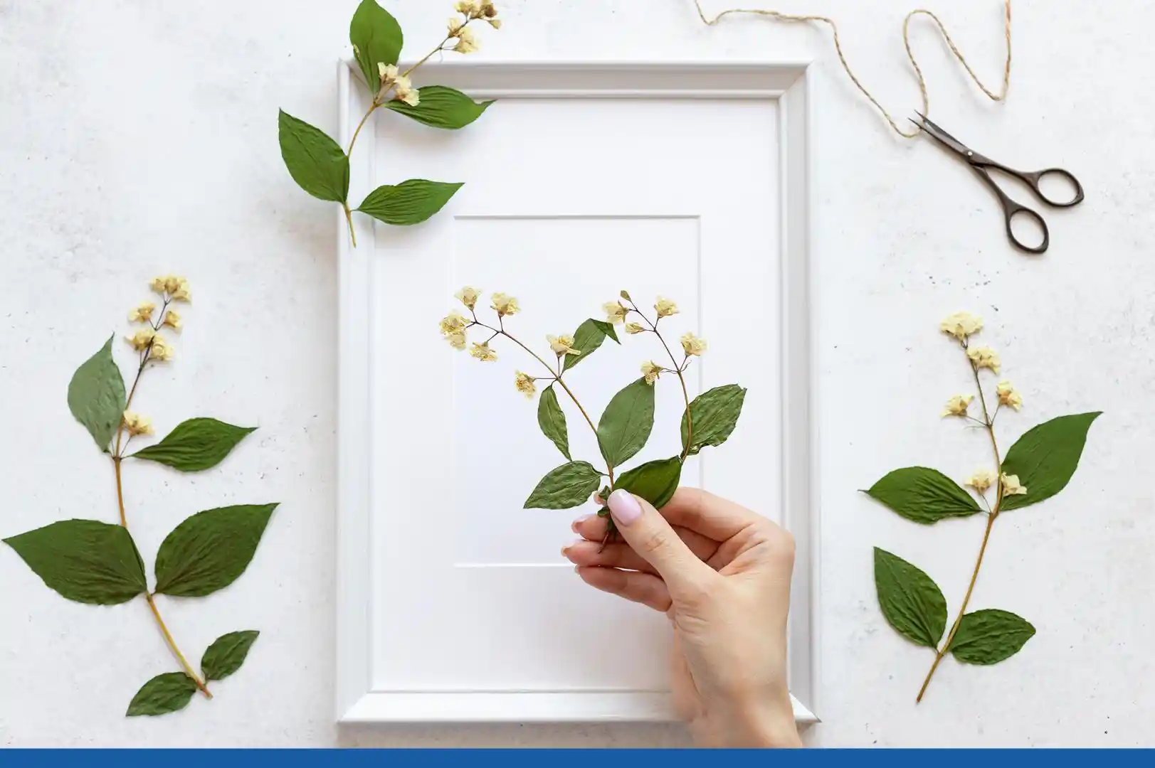 Kurutulmuş Çiçeklerle Doğal ve Estetik Tablo Dekorasyonları Nasıl Yapılır