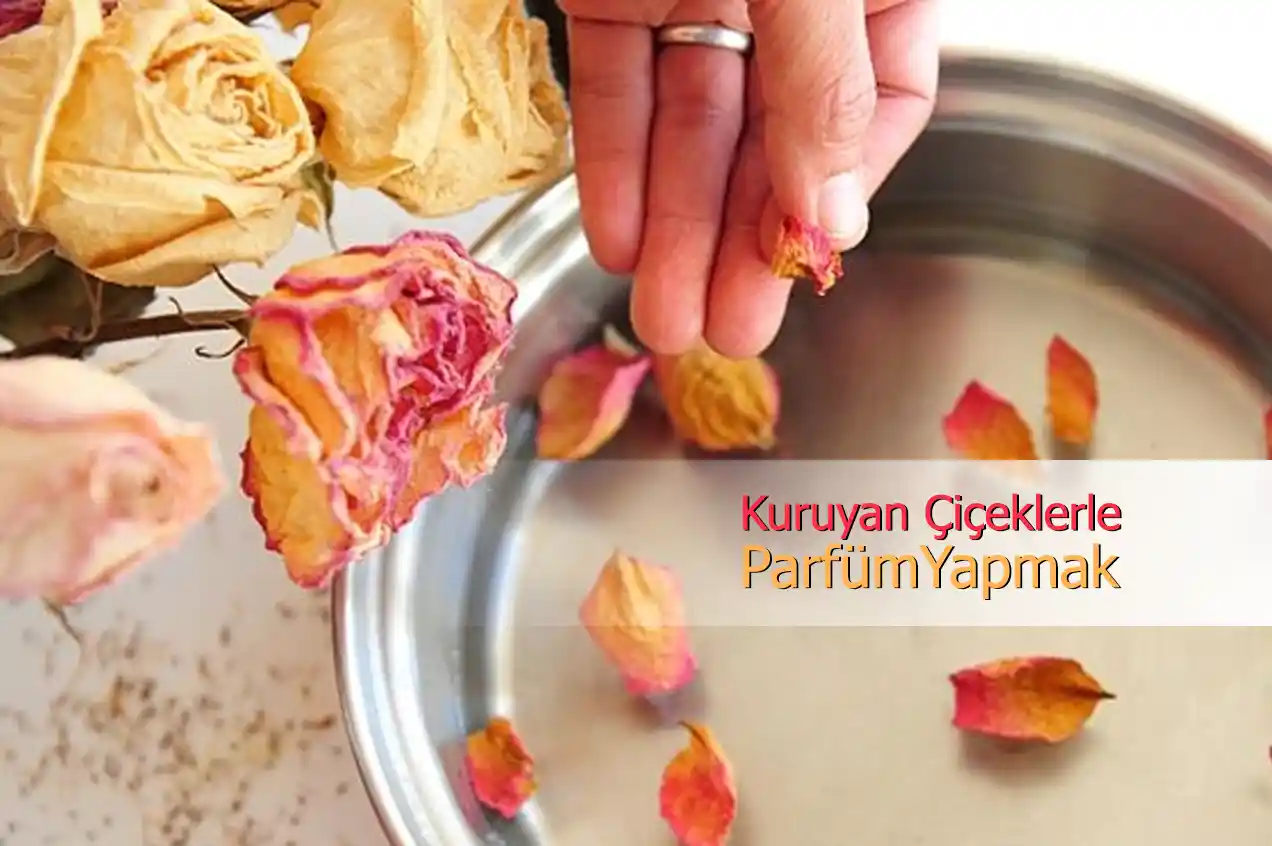 Kuruyan Çiçekleri Değerlendirme Yöntemleri ve Sürdürülebilir Dekorasyon Fikirleri