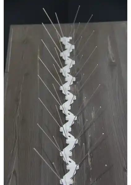 Kuş Savar ile Dekorasyonda Estetik ve İşlevsel Çözümler