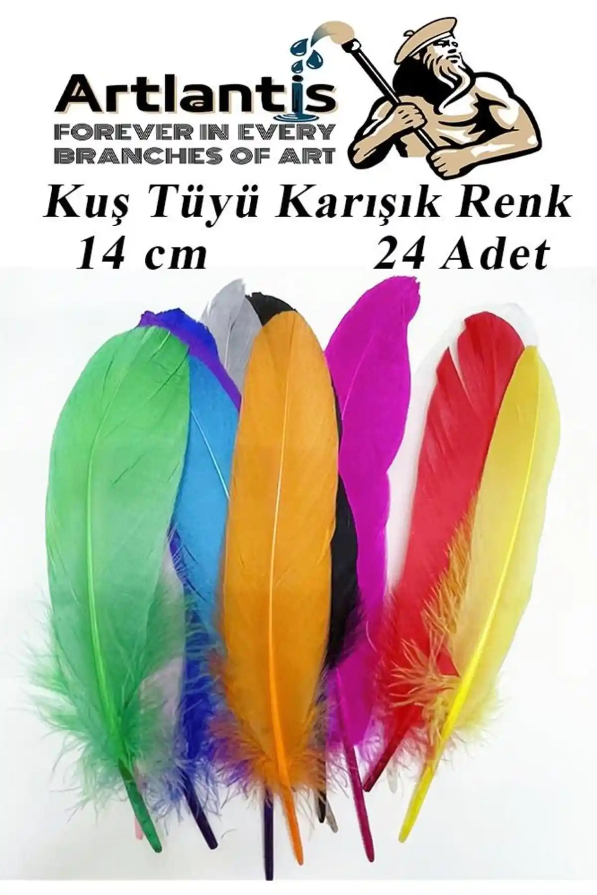 Kuş Tüyü Dekorasyonuyla Doğal ve Zarif Mekanlar Yaratma Rehberi