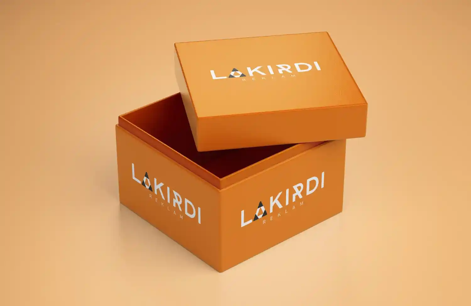 Kutu Çeşitleri ve Dekorasyonda Kullanım Alanları: Farklı Türler ve Dekorasyon İpuçları