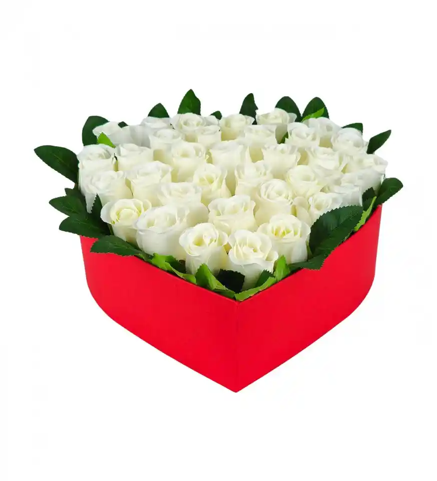 Kutuda Çiçek Modelleriyle Dekorasyonunuzu Canlandırın ve Estetik Bir Atmosfer Yaratın