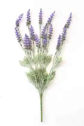 Lavanta Çiçeği ile Dekorasyonda Doğal ve Zarif Dokunuşlar Yaratın