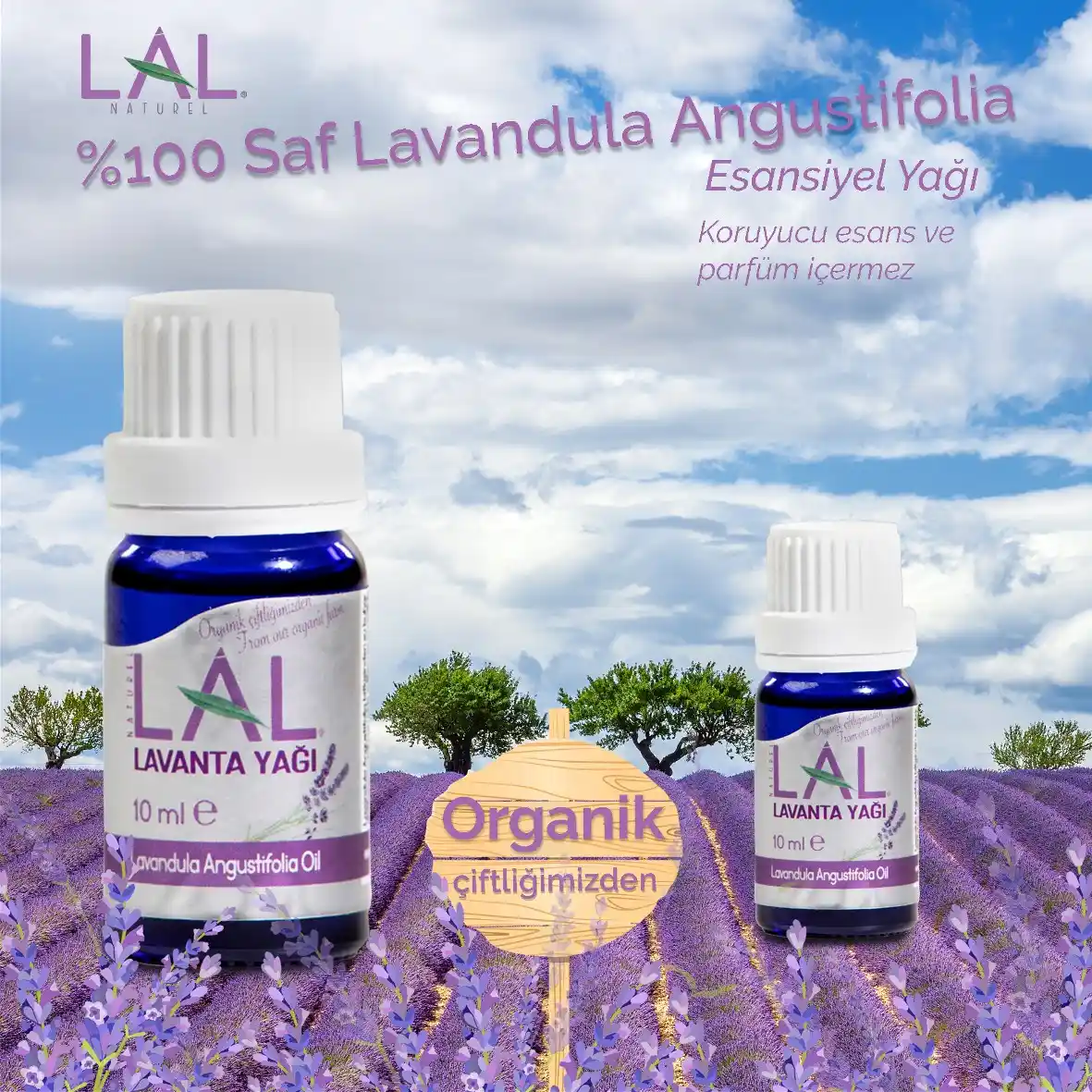 Lavanta ile Dekorasyonda Doğal ve Şık Bir Atmosfer Yaratma Rehberi