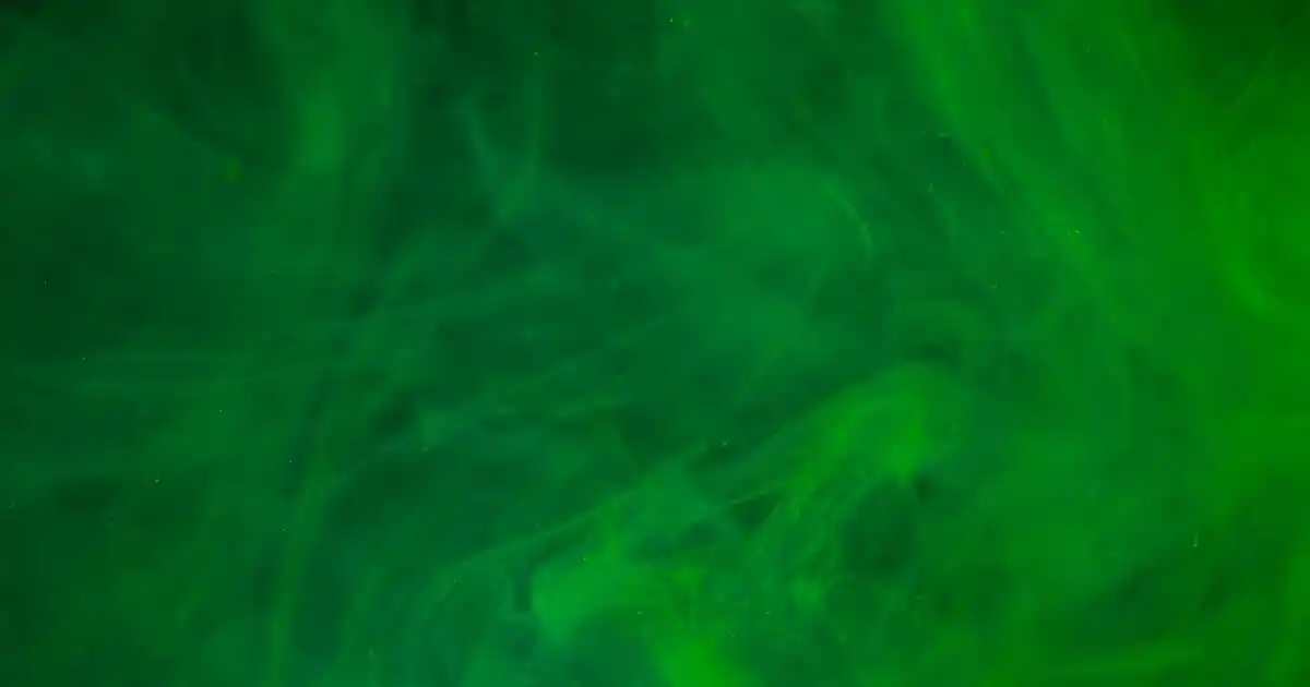 Magnolia Bardakları ile Dekorasyonunuza Zarif ve Fonksiyonel Dokunuşlar Katın