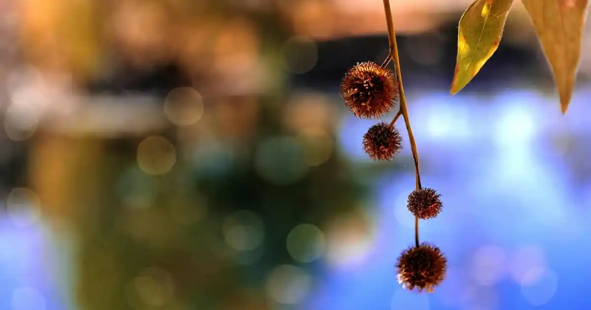 Makrome Lambader ile Doğal ve Sıcak Atmosferler Yaratmanın Yolları