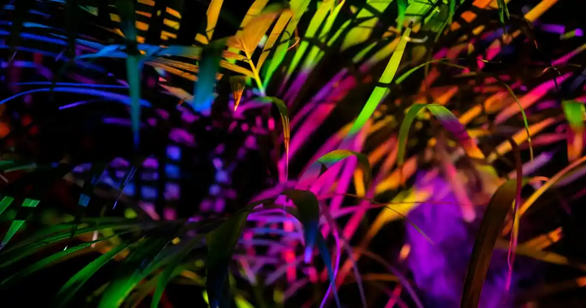 1 Kişilik Spor Temalı Yatak Setleri: Konfor ve Estetiği Bir Arada Sunan Seçenekler