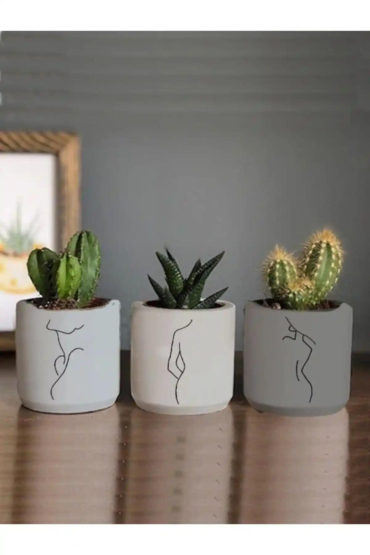 3'lü Kaktüs ve Sukulent Saksısı Modelleriyle Dekorasyonda Şıklık ve Fonksiyonellik
