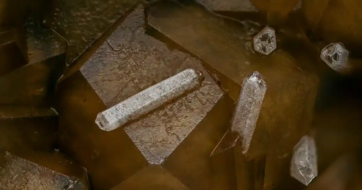 Aeka Artemis Montenero Sifonyer: Modern Tasarım ve Fonksiyonellik Bir Arada