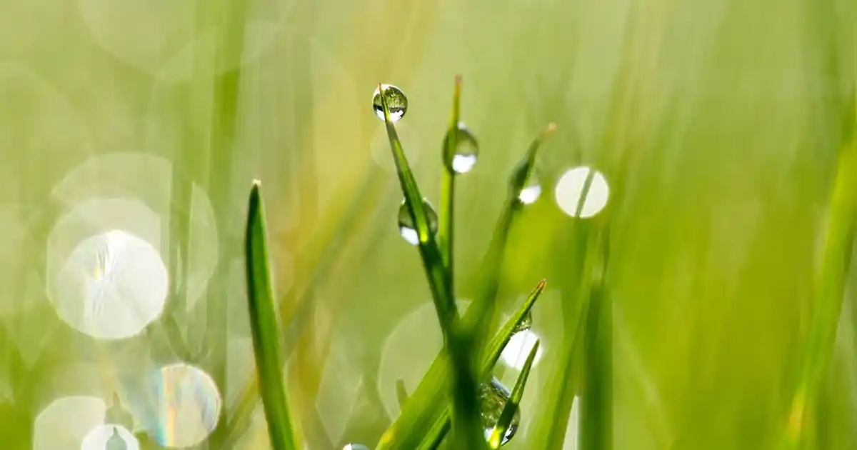 Ahşap Ekmeklik Dolapları: Dayanıklı ve Estetik Mutfağınız İçin Uygun Seçenekler