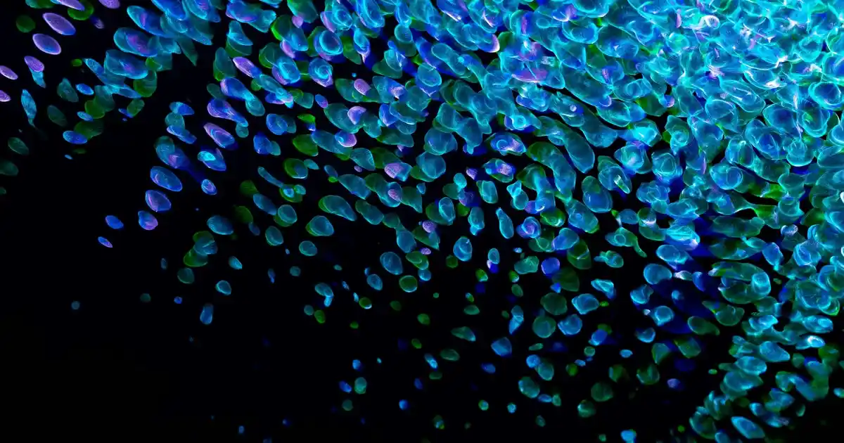 Ahşap Merdiven Dekorasyonunda Güncel Trendler ve Tasarım İpuçları