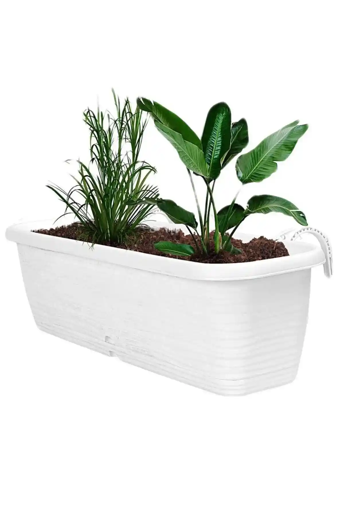 Akasya Balkon Saksılarıyla Balkon Dekorasyonunda Estetik ve Dayanıklılık Sağlayan Çözümler