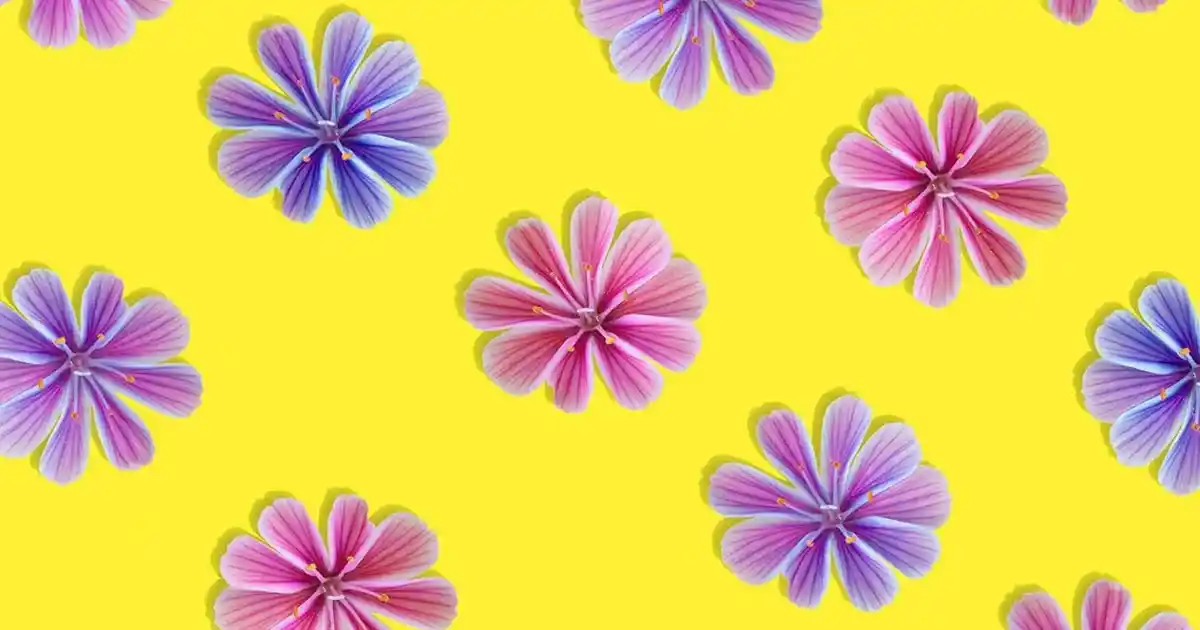 Banyo Dekorasyonunda Porselen Malzemenin Kullanımı ve Sıvı Sabunluklar İçin Avantajlar