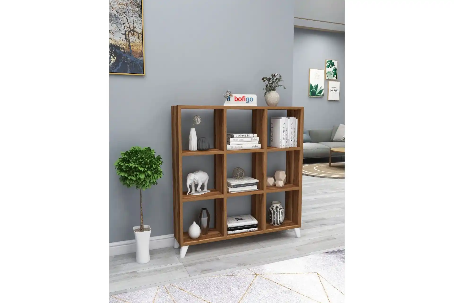 Bofigo ve Mesir Kitaplıklarının Tasarım ve Kullanım Özelliklerinin Karşılaştırması