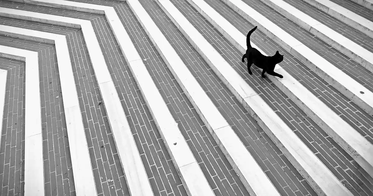 Bordo Seramik ile Dekorasyon: Sıcaklık ve Şıklığın Buluşması İçin En İyi Seçenekler