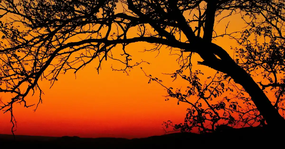 Çocuklar İçin Limon Kokulu Islak Bebek Havluları Güvenli ve Ferahlatıcı Bir Seçenek