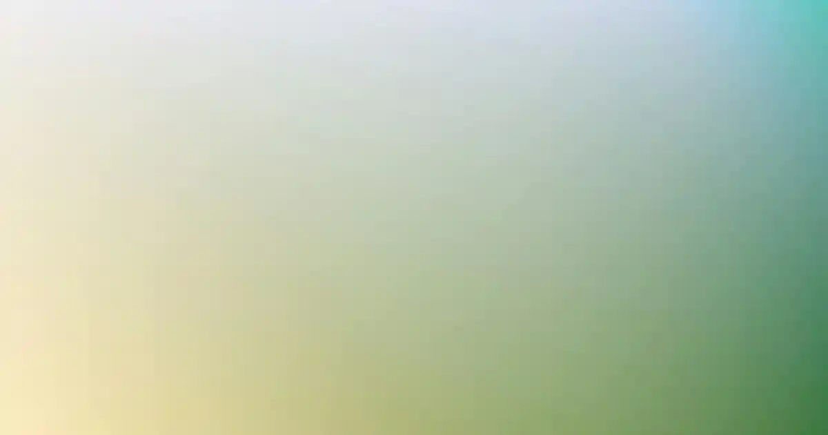 Dayanıklı Duvar Askıları: Ev ve Ofisleriniz İçin Güvenilir Saklama Çözümleri