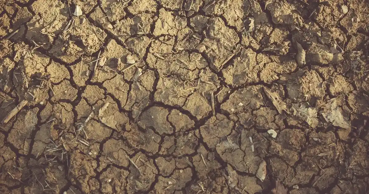 Dayanıklı Vestiyer Duvar Askısı Seçerken Dikkat Edilmesi Gerekenler ve Kullanım Alanları