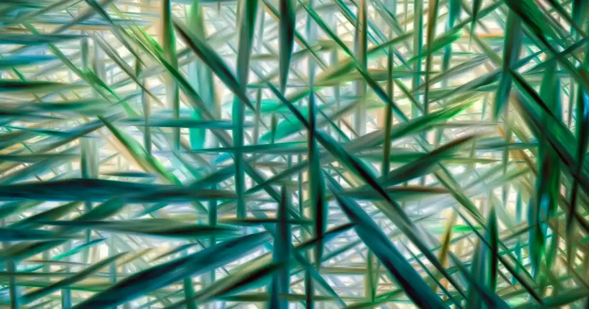 Dış Kapı Dekorasyonunda Dekoratif Süslemelerin Önemi ve Seçenekleri